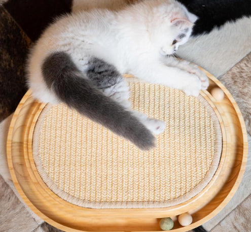 Juguete de Madera Maciza para Gatos Activos - Image 6