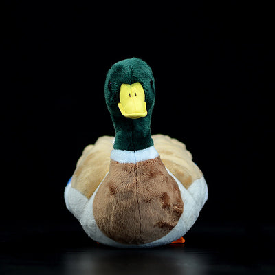 Peluche Pato Mallard Adorable - Image 4