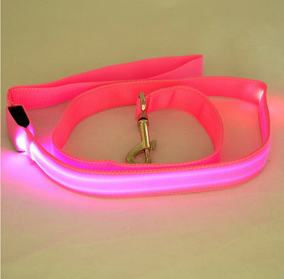 Correa LED Luminosa para Perros - Paseos Seguros de Noche - Image 15