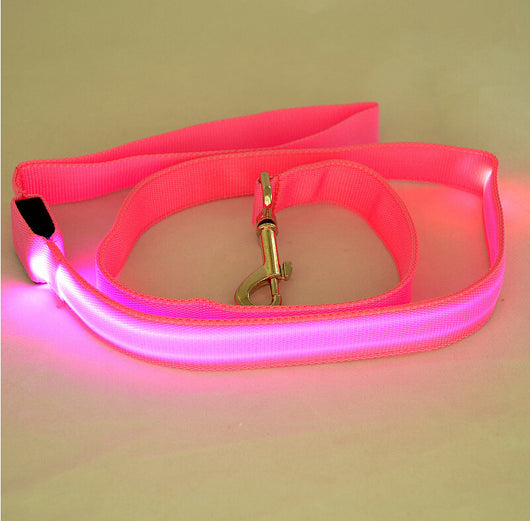 Correa LED Luminosa para Perros - Paseos Seguros de Noche - Image 15