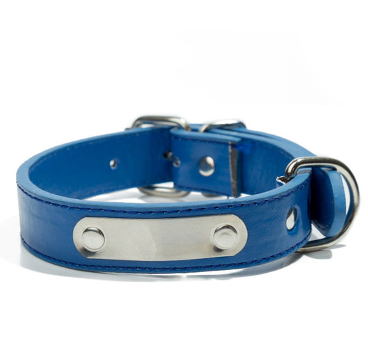 Collar Personalizado para Mascota con Placa de Identificación Grabada - Image 6