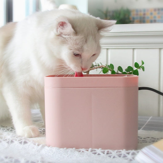 Fuente de Agua Inteligente para Gatos