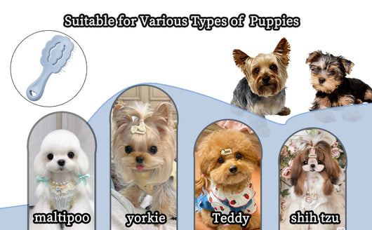 Cepillo de Aseo en Forma de Nube para Perros Pequeños - Ideal para Maltés, Shih Tzu y Yorkies - Image 21