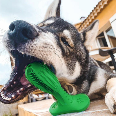 Cepillo Dental Canino Resistente a Mordidas con Juguete Molar - Image 7