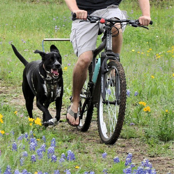 Arnés Reflectante con Correa Extensible para Pasear Perros
