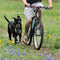 Arnés Reflectante con Correa Extensible para Pasear Perros