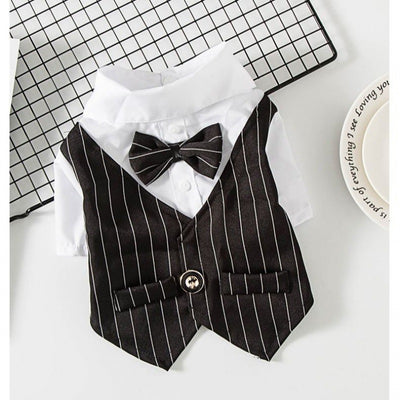 Traje Elegante para Perros Pequeños - Image 12