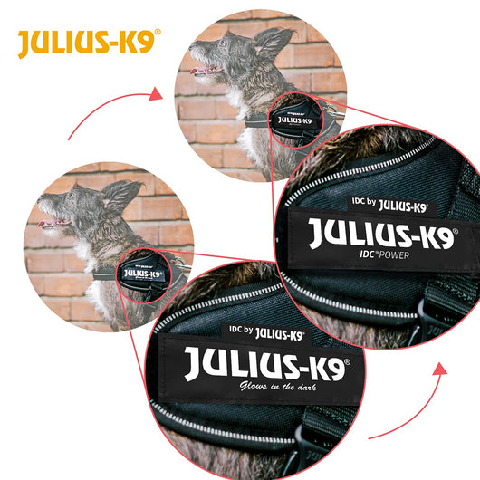 Correa de Arrastre Personalizable para Perros Medianos y Grandes - Image 6