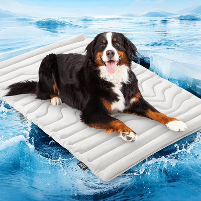 Golden retriever wearing sunglasses on a light gray quilted pet cooling mat, floating on icy blue water. - Image 6