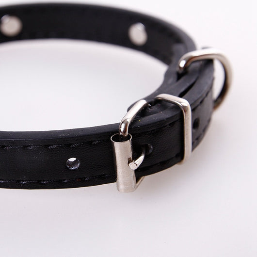 Collar Personalizado de Moda para Mascotas en PU - Image 10