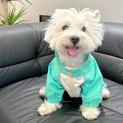 Poncho Impermeable para Schnauzers y Perros Pequeños - Image 7