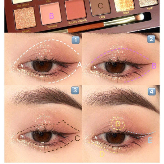 Paleta de Sombras Doce Colores Ojos de Animales - Image 14