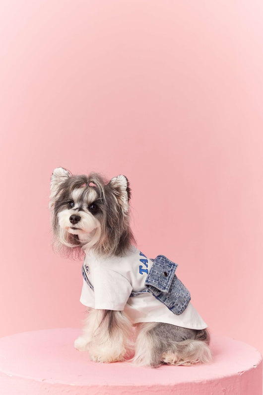 Ropa de Verano para Perros Pequeños - Teddy Schnauzer Bichón - Image 41