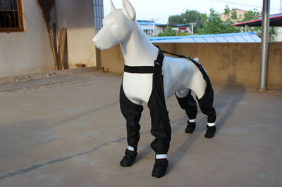 Correa Reflectante Antisuciedad para Perros - Image 16