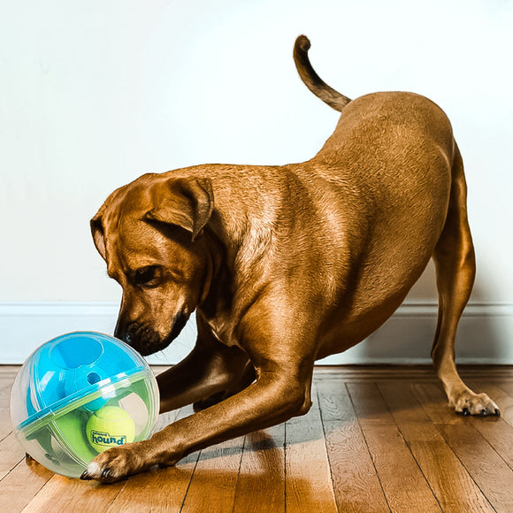 Juguete Interactivo para Perros con Sonidos y Puzzle Relajante