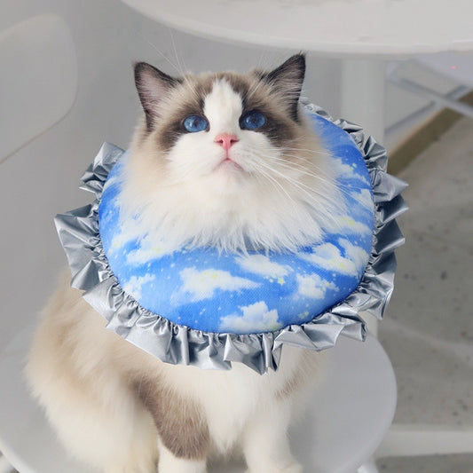 Collar Isabelino Suave para Gatos - Protección Anti-Lamido Postoperatorio - Image 2