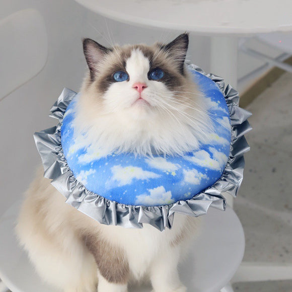 Collar Isabelino Suave para Gatos - Protección Anti-Lamido Postoperatorio