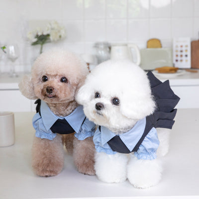 Ropa Abrigadora Adorable para Perros Pequeños - Image 3