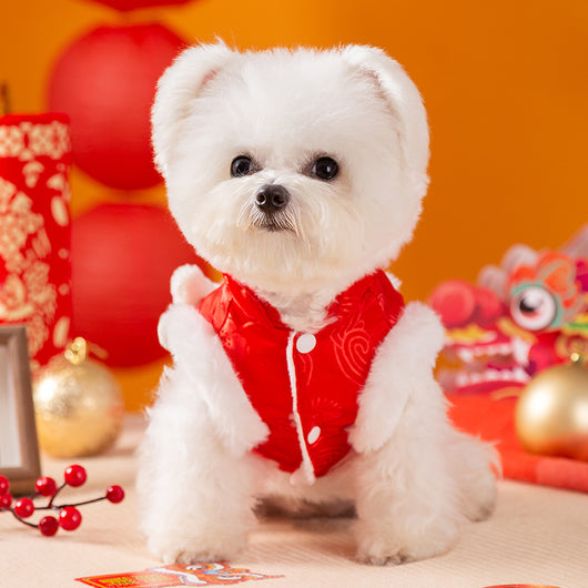 Traje Tang Acolchado para Mascotas - Disfraz de Danza del León con Borlas - Image 21