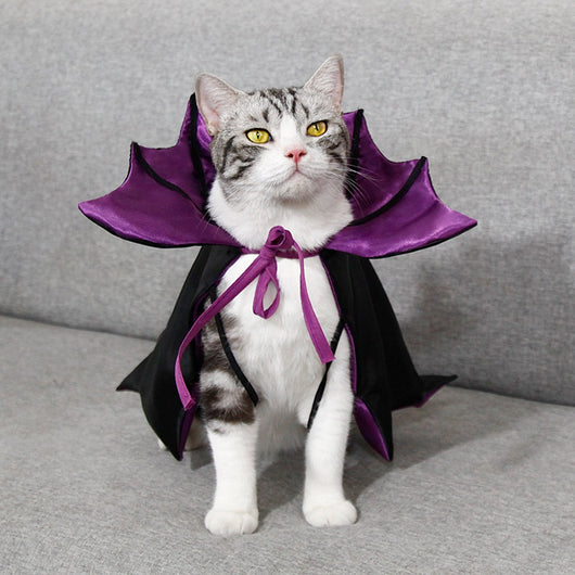 Capa de Halloween para Gatos - Disfraz Festivo Elegante - Image 3