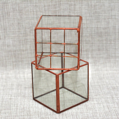 Maceta Vintage de Cristal para Suculentas y Flores - Image 12