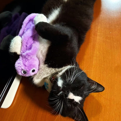 Juguete Pulpo Gato Poligonum - Suplemento Natural para Mascotas - Image 10