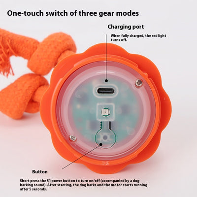 Orange pumpkin-shaped dog toy with a knotted rope, designed for outdoor training and interactive play. - Image 3