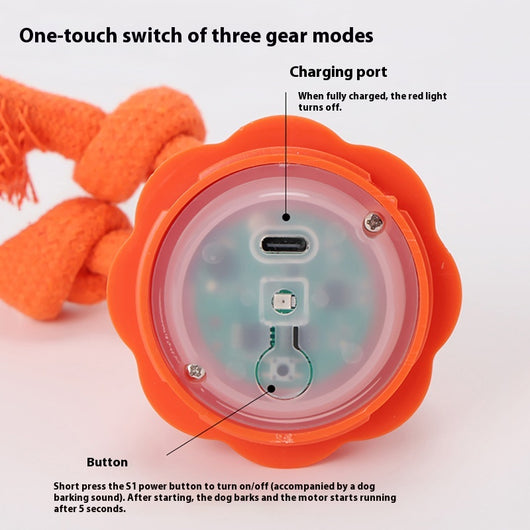 Orange pumpkin-shaped dog toy with a knotted rope, designed for outdoor training and interactive play. - Image 3