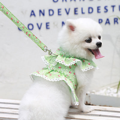 Arnés Pectoral con Correa para Perro Pequeño - Encaje Floral Primavera - Image 12
