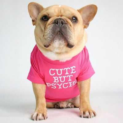 Polera Cuello Alto para Mascotas - Diseño Clásico y Cómodo - Image 8