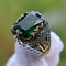 Anillo de Jade para Hombre Lujo Vintage Exclusivo