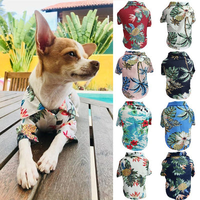 Playera Fresca para Perros Corgi y Gatos - Diseño Azul Primavera Verano