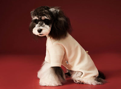 Ropa Térmica para Perros - Abrigo Waffle Otoño e Invierno - Image 22