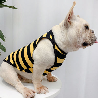 Ropa de Verano Personalizada para Perros - Diseño Fresco y Elegante - Image 5