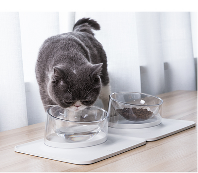 Comedero Inclinado Antiderrames para Mascotas - Tazón Antivuelco para Perros y Gatos - Image 8
