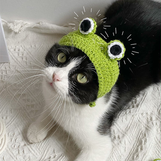 Funda para Cabeza de Gato Bajie - Diseño Adorable - Image 4