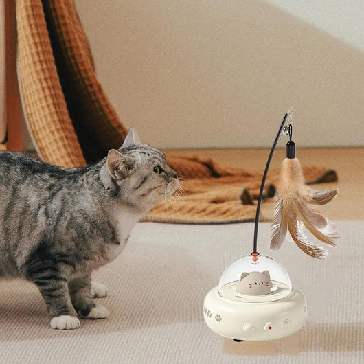 Electric interactive cat toy with a beige base, clear dome, and a cute cat head inside. Features a feather teaser wand with a bell. - Image 16