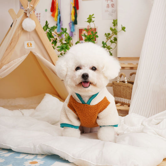 Suéter Térmico de Felpa Berber para Mascotas - Abrigo Grueso Otoño Invierno - Image 16