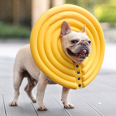 Collar Protector Antipicaduras para Mascotas - Verano Seguro - Image 10