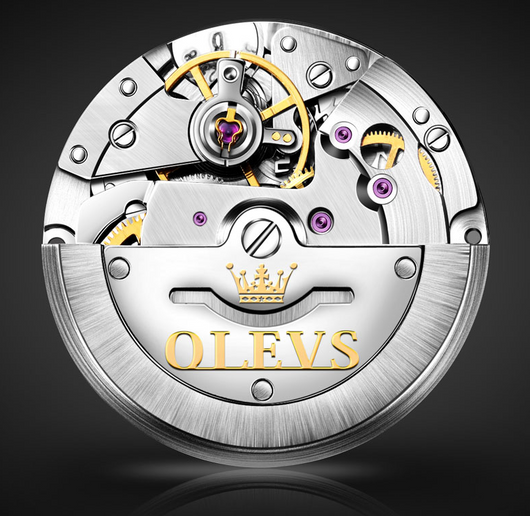Reloj Automático Mecánico para Hombre Resistente al Agua - Image 15