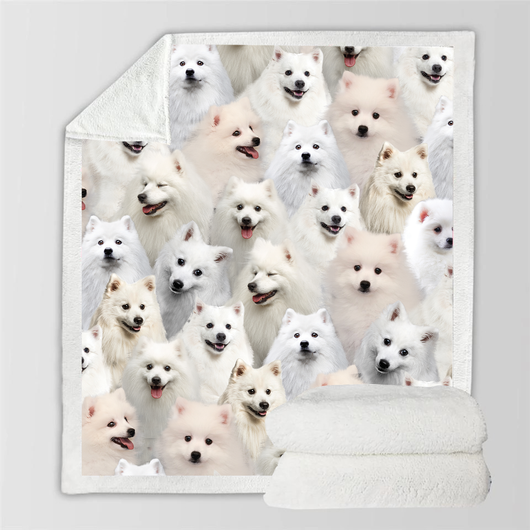 Manta Flanela Estampada para Perros de Moda - Image 38