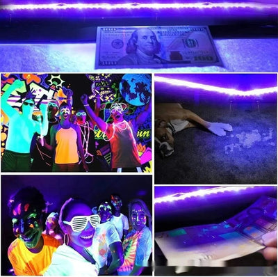 Luz LED de Crecimiento para Invernadero y Germinación de Semillas - Image 8