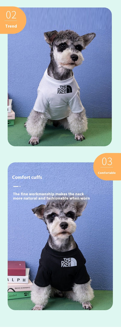 Ropa Antiestática para Mascotas - Protección del Hogar - Image 11