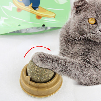 Catnip ball with a rotating base, designed for cats as a treat and molar teeth cleaning toy. - Image 4