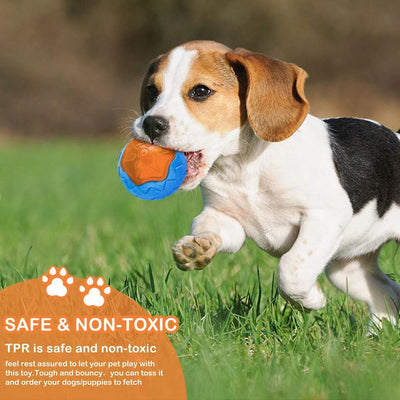 Juguetes Flotantes para Perros con Sonido - Toys Interactivos para Playa y Piscina - Image 13
