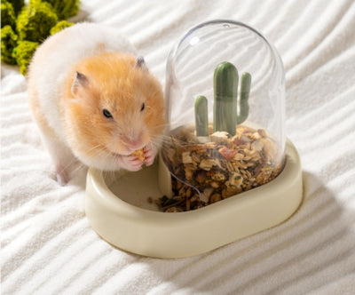 Comedero Automático Cactus para Hámster - Dispensador Inteligente - Image 10