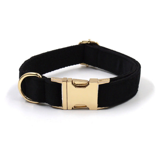 Collar Antiextravío para Perros con Diseño Elegante - Image 13