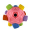 Rainbow Rose