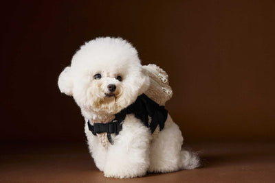 Chaleco de Terciopelo Acolchado Schnauzer Bichon sin Mangas - Image 45