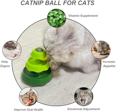 Juguete Interactivo para Gatos 2 en 1 con Pista de Rodillos y Bolas de Catnip - Image 4